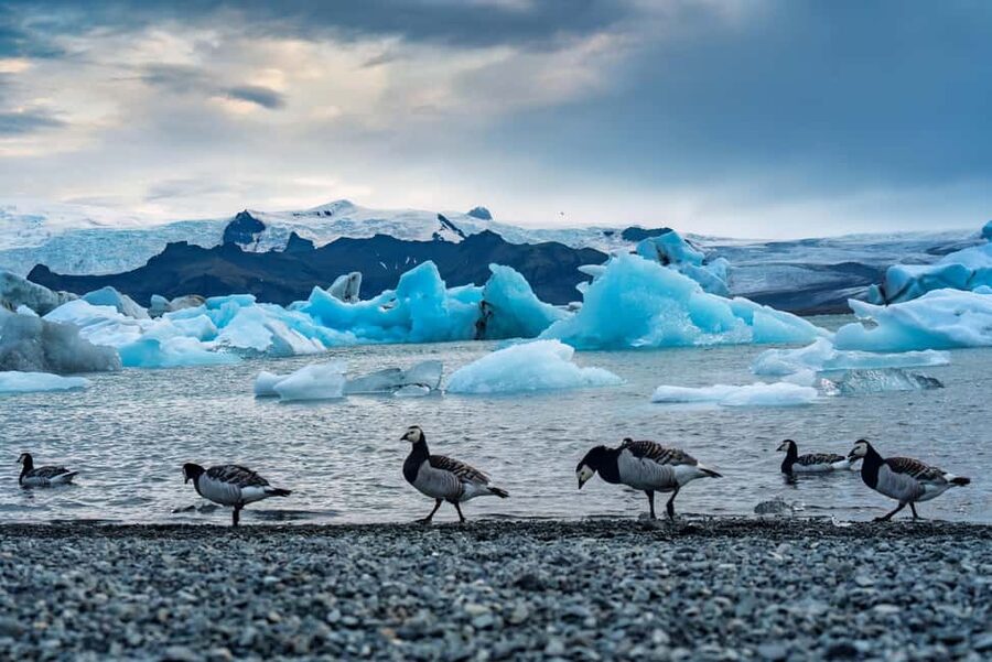 Reykjavik: Glacier Lagoon, Diamond & Black Beach 冰岛冰河湖中文一日团 - Seljalandsfoss at waterfall level, with time to get your photos