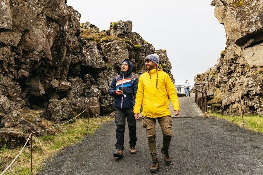 Reykjavik: Golden Circle, Crater & Blue Lagoon Minibus Tour - Key things that make this day work