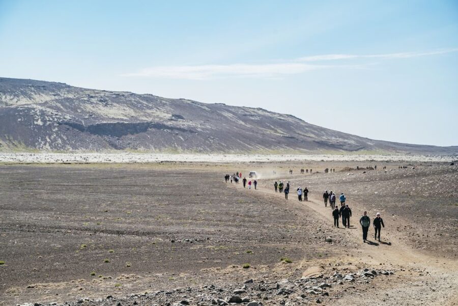 Reykjavik: Guided Tour to Volcano and Reykjanes Geopark - Who this volcano and geopark trip is best for