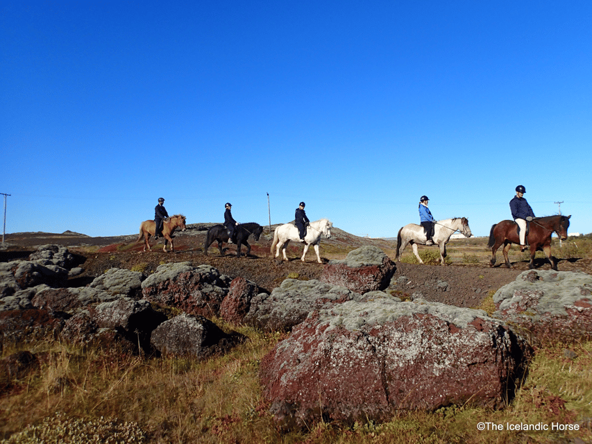 Reykjavík: Horse Riding Tours - Key Points Before You Saddle Up
