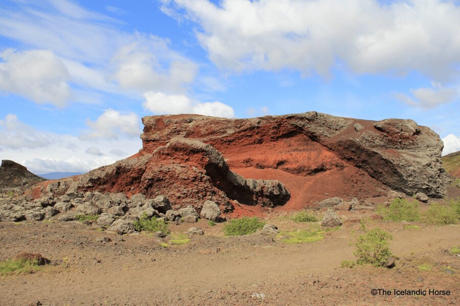 Reykjavík: Horse Riding Tours - Reykjavik Horse Riding, the Real Way: What Makes This Different