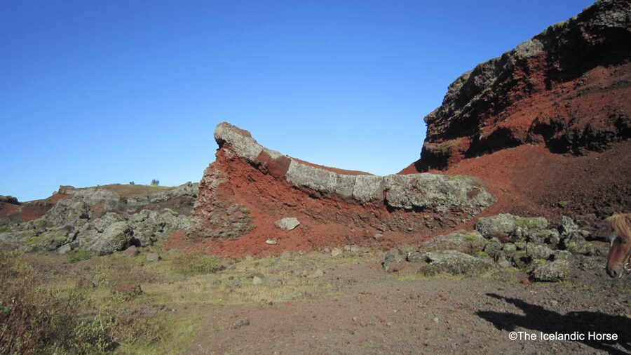 Reykjavík: Horse Riding Tours - What You Learn Before You Move: Safety That Still Feels Friendly