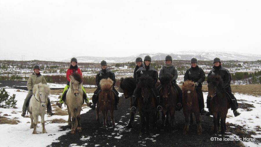Reykjavík: Horse Riding Tours - Gear That Actually Solves the Iceland Problem