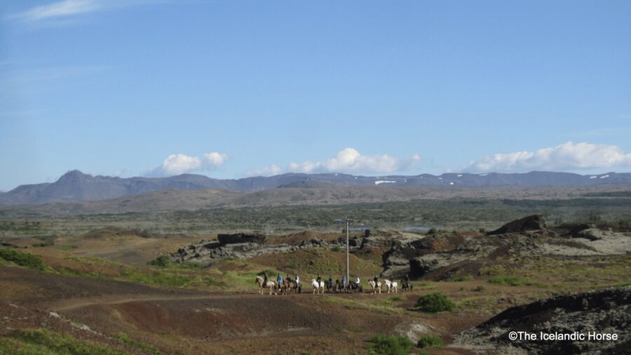 Reykjavík: Horse Riding Tours - Small Group Size and Personalized Attention