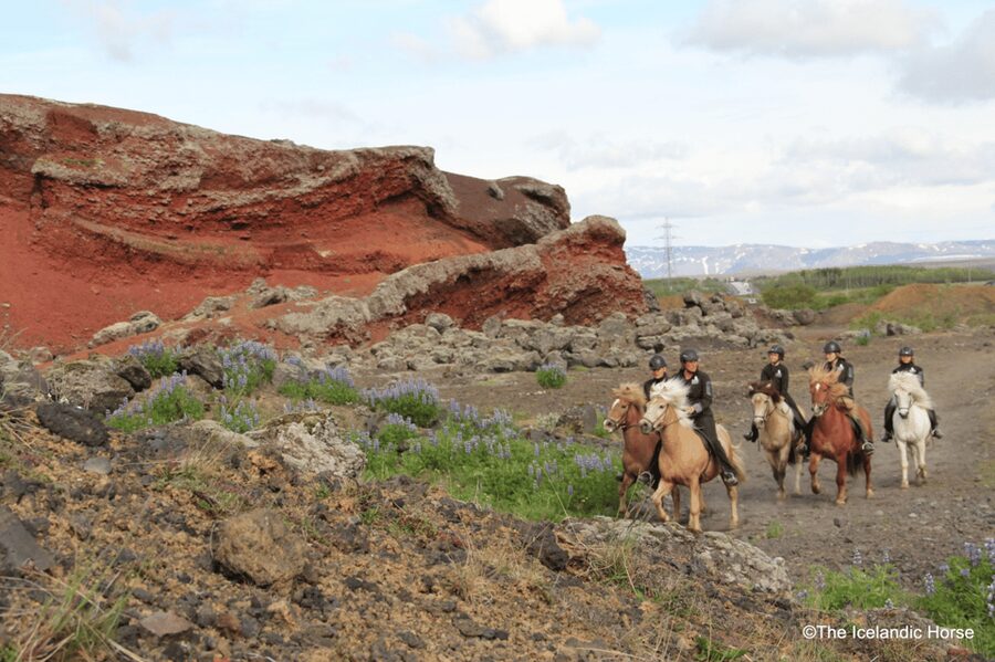 Reykjavík: Horse Riding Tours - The 2-Hour Flow From Stables to Volcanic Terrain