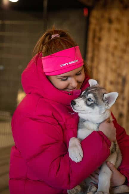 Reykjavík: Husky Kennel Visit with Hot Drinks - Arriving at the kennel and meeting the Siberian Huskies