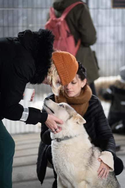 Reykjavík: Husky Kennel Visit with Hot Drinks - Getting there without a hotel pickup