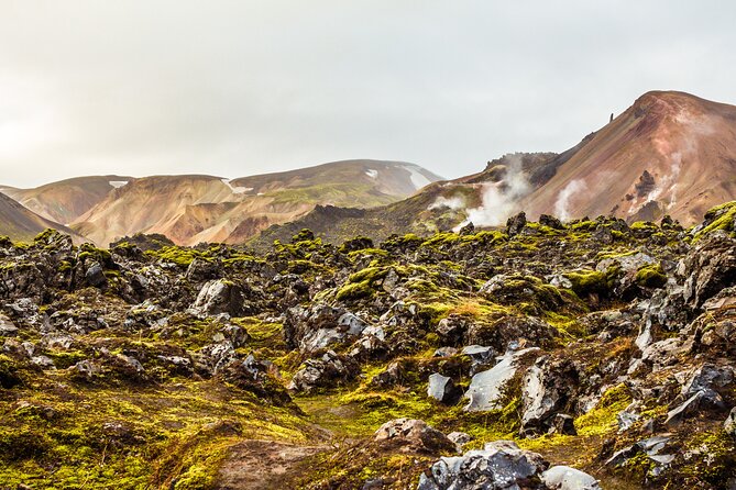 Reykjavík: Landmannalaugar & Icelandic Highlands Super Jeep Tour - A Note on Guide Style, Based on What People Highlight