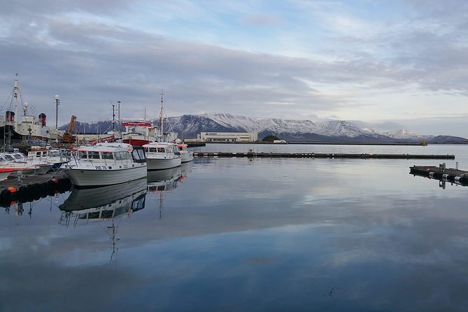Reykjavik Main Sights and Hidden Spots: A Self-Guided Audio Walk - Price and what $11.99 gets you in real terms