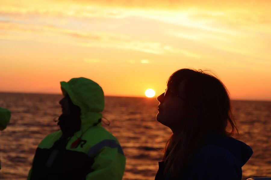 Reykjavík: Midnight Sun Whale Watching Cruise - The whale-spotting part that actually takes skill