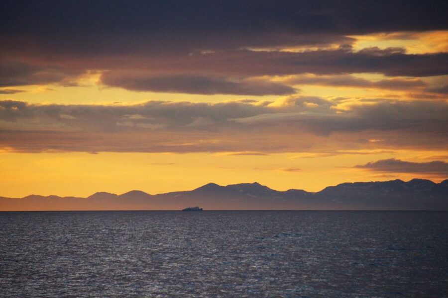 Reykjavík: Midnight Sun Whale Watching Cruise - Price and value: why $106 might feel fair