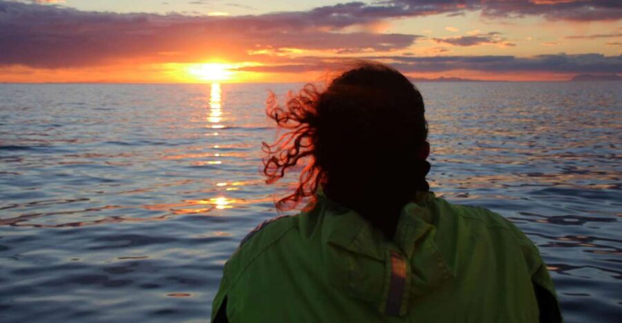 Reykjavík: Midnight Sun Whale Watching Cruise - Boarding at Old Harbour and what you’ll feel in the first 20 minutes