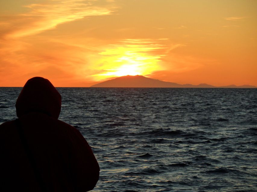 Reykjavik: Midnight Sun Whale Watching Tour - Key things I’d circle before you book