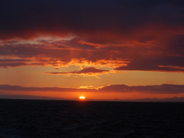 Reykjavik: Midnight Sun Whale Watching Tour - Practical tips to get more from your midnight-sun whale watch
