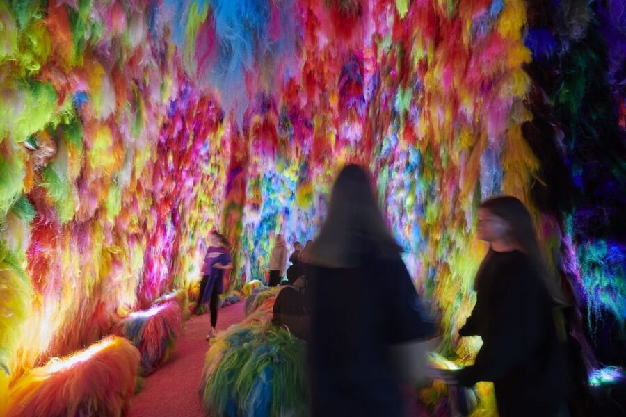 Reykjavík: Multi-Sensory Art Installation Chromo Sapiens - Who Should Book (and Who Might Want to Re-think It)