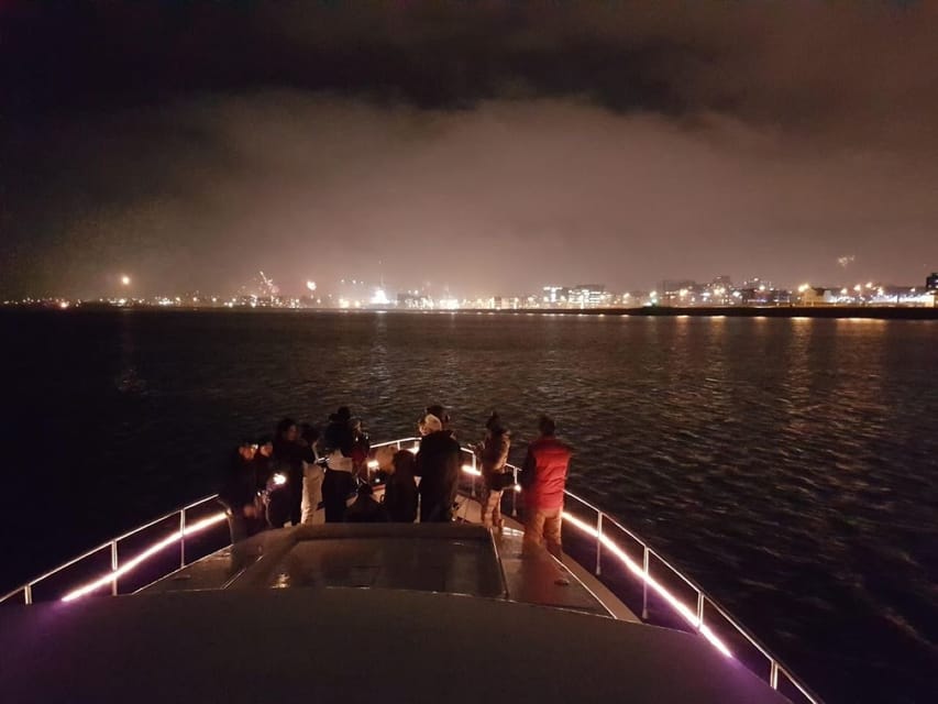 Reykjavík: New Year's Eve Northern Lights Yacht Cruise - Who should book, and who should skip this cruise