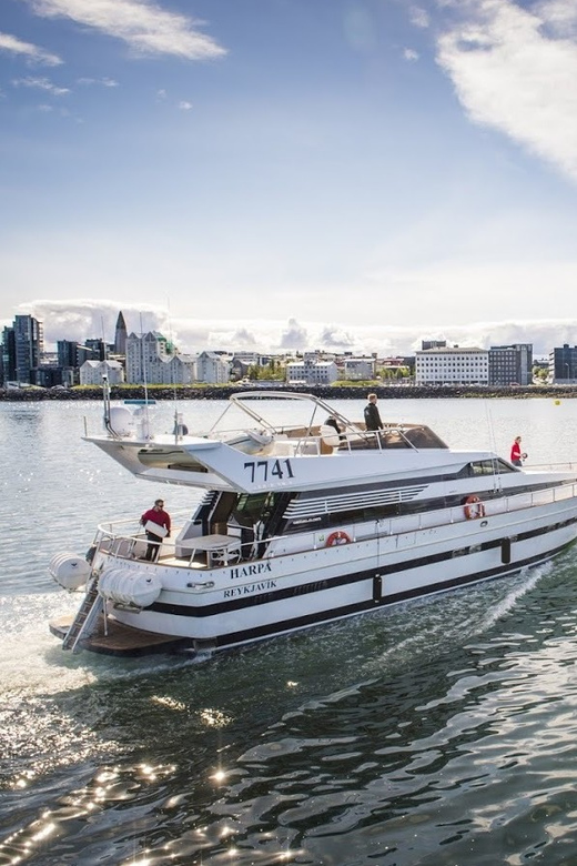 Reykjavík: New Year's Eve Northern Lights Yacht Cruise - Weather and aurora expectations: set yourself up for a great night