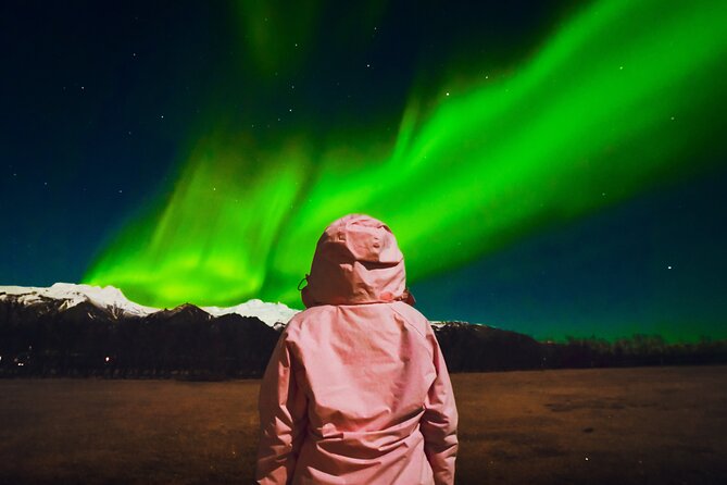 Reykjavik: Northern Lights Comfort Coach with Surprise - A 9:00 pm coach run built for aurora odds