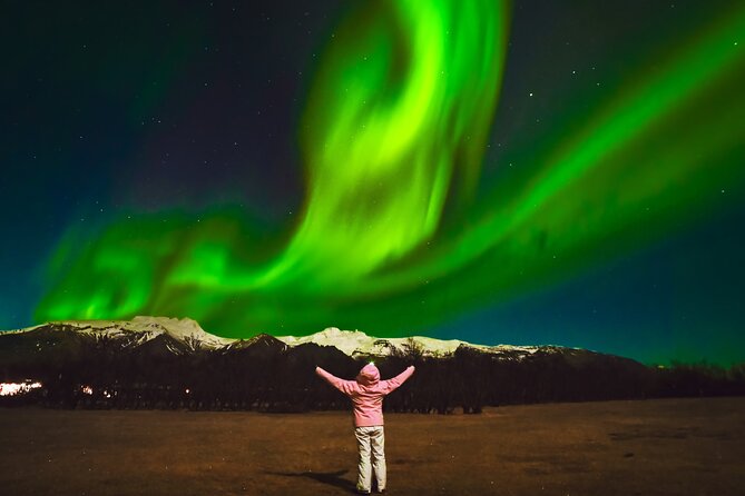 Reykjavik: Northern Lights Comfort Coach with Surprise - The small Icelandic surprise and why it feels fun