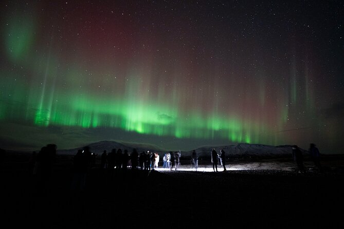 Reykjavik: Northern Lights Comfort Coach with Surprise - When the aurora does not show up, you still have options
