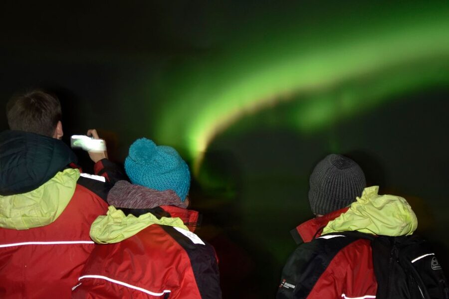 Reykjavík: Northern Lights Cruise - Price and value at about $111 per person