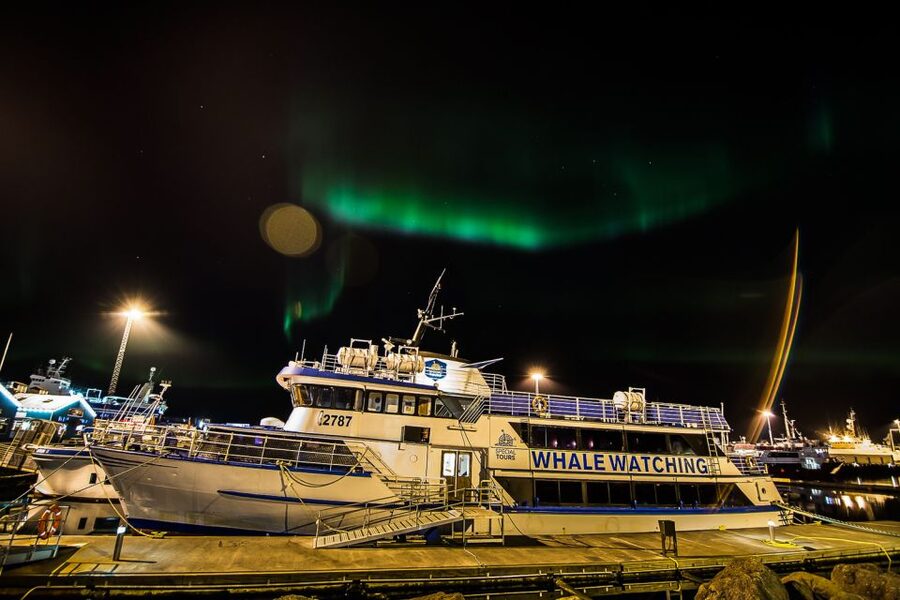 Reykjavik: Northern Lights Guided Boat Tour - Key highlights worth your attention