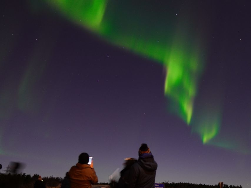 Reykjavik: Northern Lights Tour w/Pro Photos - Small Group - Price and Value: Is $148 Worth It?
