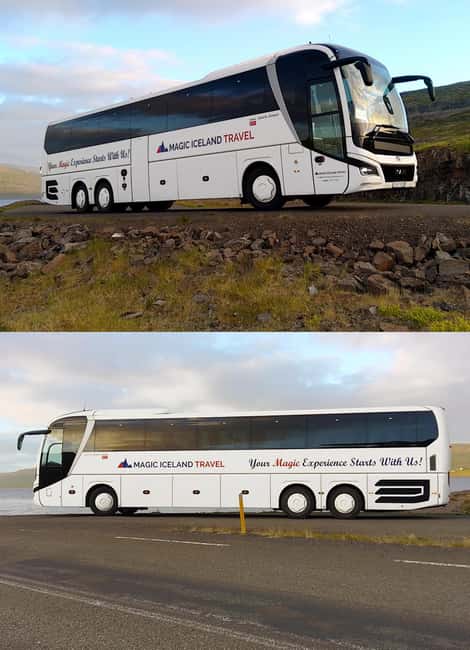 Reykjavik: Northern Lights Tour with Chinese Guide冰岛雷市中文极光团 - Should You Book It?