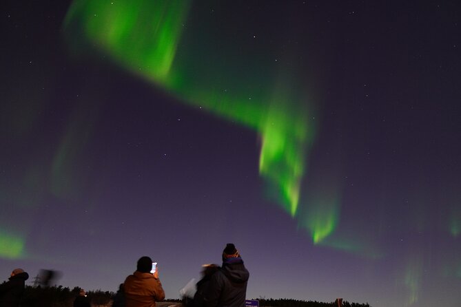 Reykjavik Northern Lights Tour with Pro Aurora Photos Small Group - Professional Aurora Photos: The Big Reason to Book