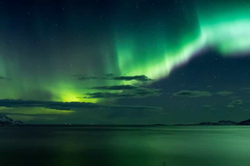 Reykjavik: Northern Lights with Icelandic Treats - Northern Lights in a Reykjavik Minibus, With Comfort Built In