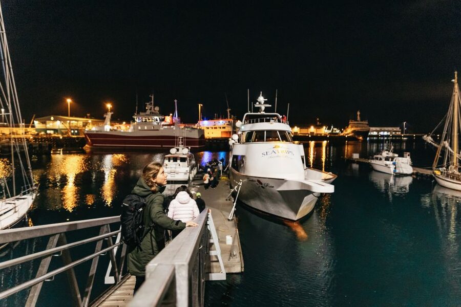 Reykjavik: Northern Lights Yacht Tour - What you will actually do during the two hours