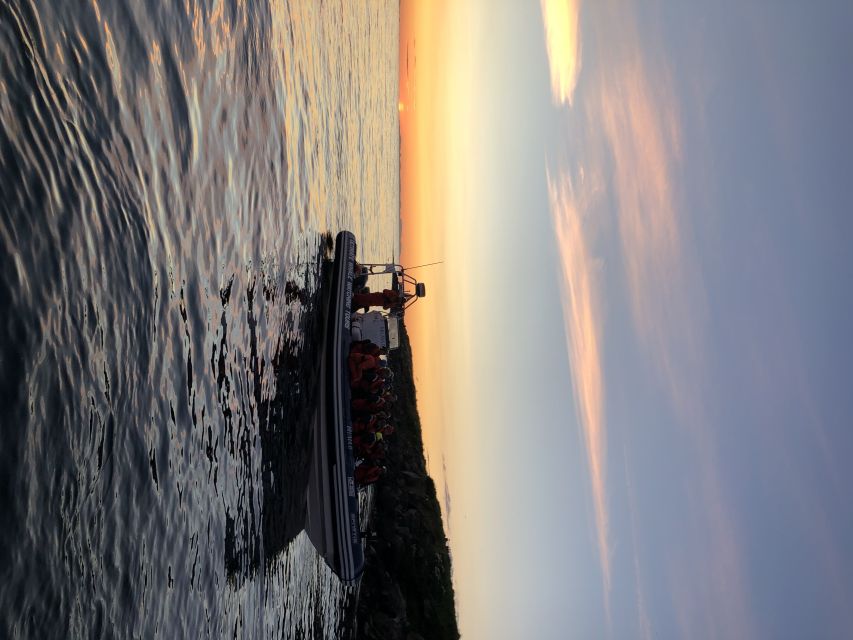 Reykjavik: Premium Whale and Puffin Watching Evening Tour - Practical tips so you do not lose time on the water