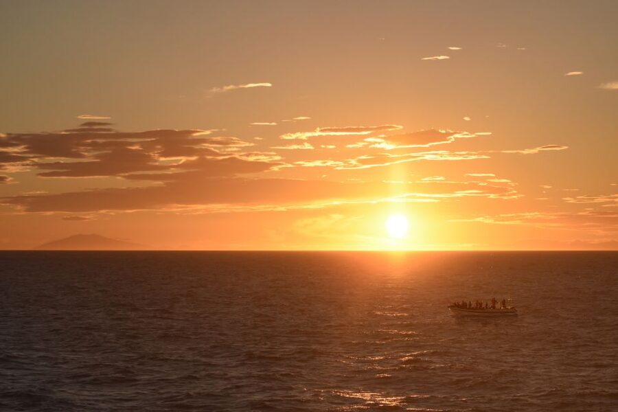 Reykjavik: Premium Whale and Puffin Watching Evening Tour - Old Harbour to open water: your 2-hour evening flow