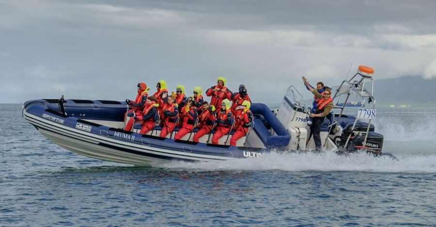 Reykjavik: Premium Whale Watching with Flexible Ticket - Key Points Before You Go