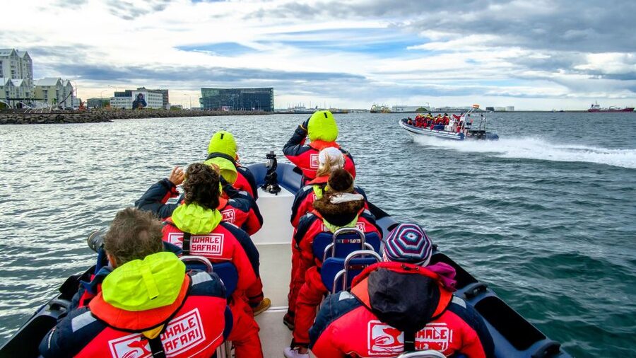 Reykjavik: Premium Whale Watching with Flexible Ticket - Puffins in May to August, A Bonus You Should Plan For
