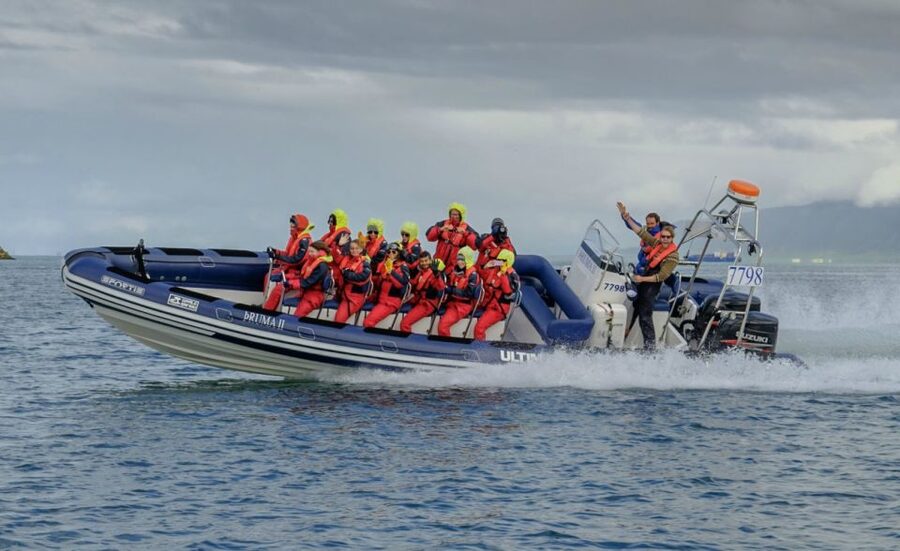 Reykjavik: Premium Whale Watching with Flexible Ticket - The Wildlife Targets in Faxafloi Bay