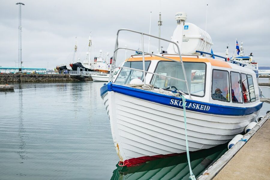 Reykjavik: Puffin Watching Boat Tour - Who this tour fits best in Reykjavik