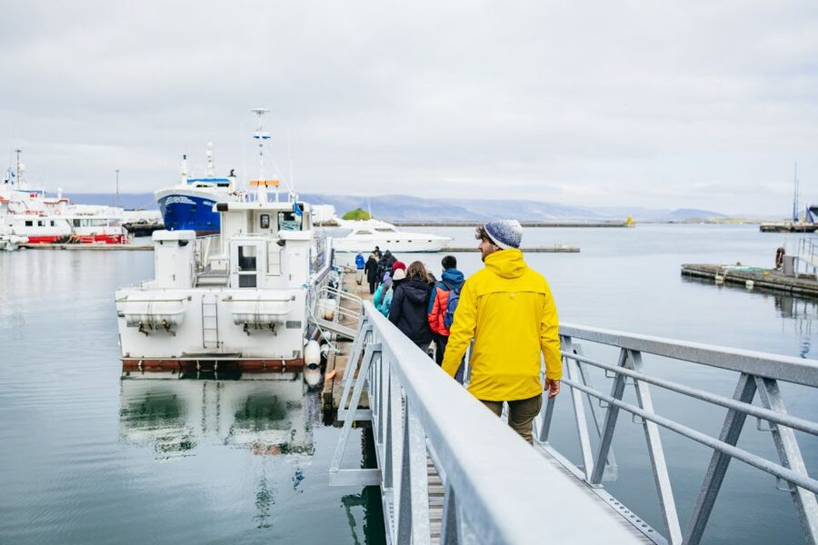 Reykjavik: Puffin Watching Boat Tour - The guide and captain make the hour feel effortless