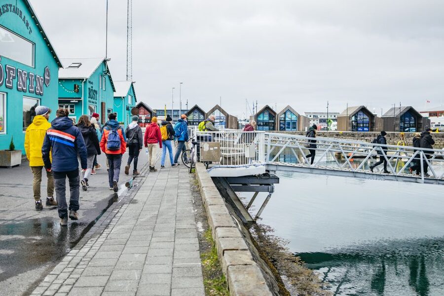 Reykjavik: Puffin Watching Boat Tour - Why this $64, one-hour tour feels fair value