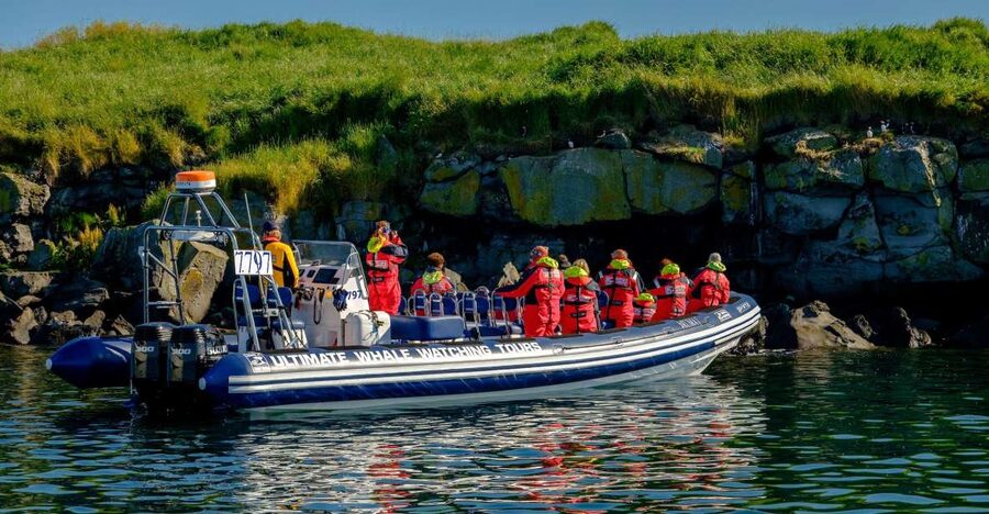 Reykjavik: Puffin Watching Tour - Key things to know before you go