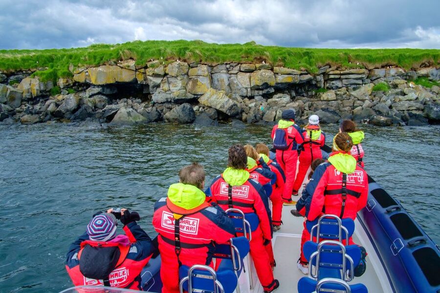 Reykjavik: Puffin Watching Tour - Entering the Old Harbour: Whale Safari check-in and quick safety mode