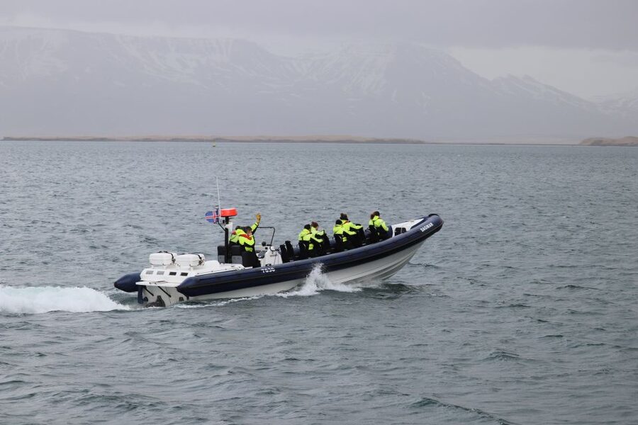 Reykjavik: Puffin Watching Tour by RIB Speedboat - Engine-off viewing: the moment that makes the guide’s explanations click