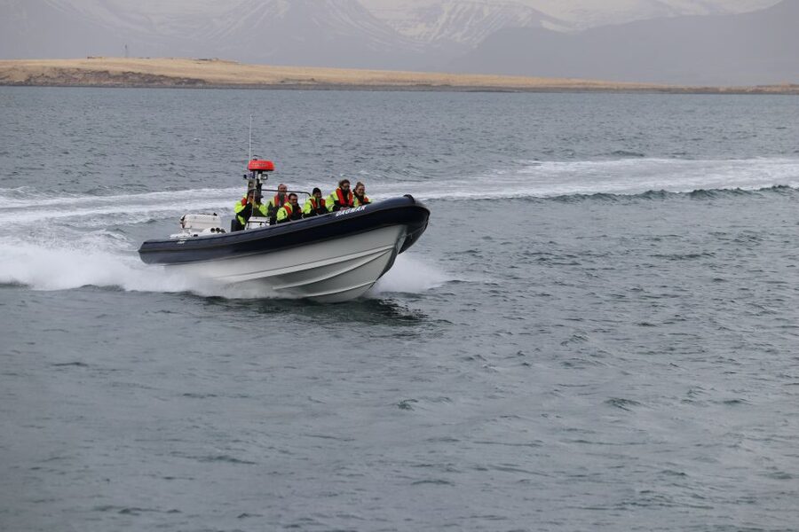 Reykjavik: Puffin Watching Tour by RIB Speedboat - Reykjavik bay views, city lights energy, and the photo reality check