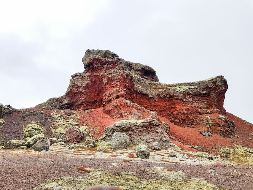 Reykjavik: Red Lava Horse Riding Tour - Meeting the Horses at the Sólhestar Stables