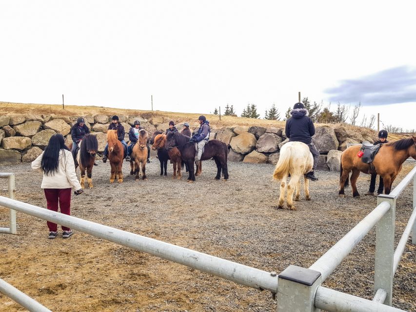 Reykjavik: Red Lava Horse Riding Tour - The Instructor Moment: Safer, Faster Learning