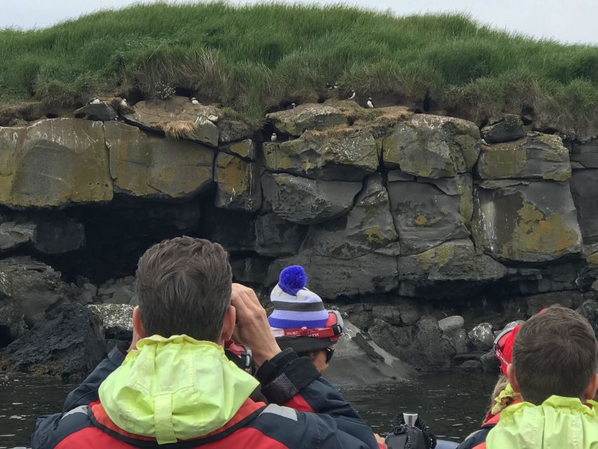 Reykjavík: RIB Speed-Boat Puffin Watching Tour - Who this tour suits best, and who should skip it