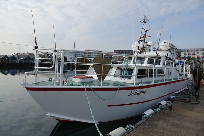 Reykjavik's Finest Catch: Guided Sea Angling Tour for All Levels - Stop by stop: the flow of your half-day on the water