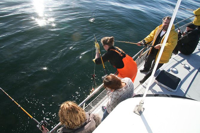 Reykjavik Sea Angling Gourmet - Meeting at Hlésgata 1: Simple Start, No Guesswork
