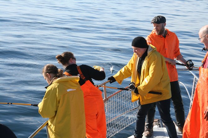 Reykjavik Sea Angling Gourmet - The Fishing Technique: What Beginners Actually Need to Know