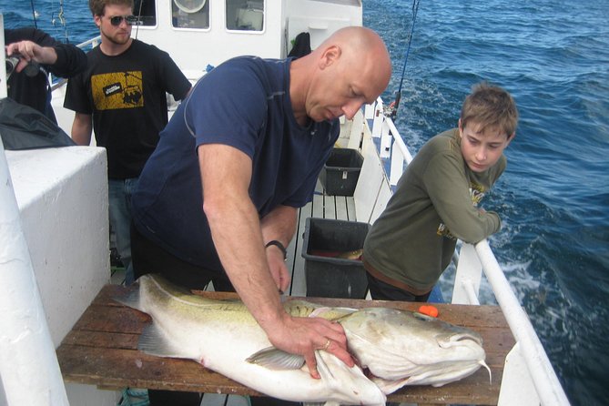 Reykjavik Sea Angling Gourmet - What the 3 Hours Really Feel Like (and When to Fit It Into Your Day)